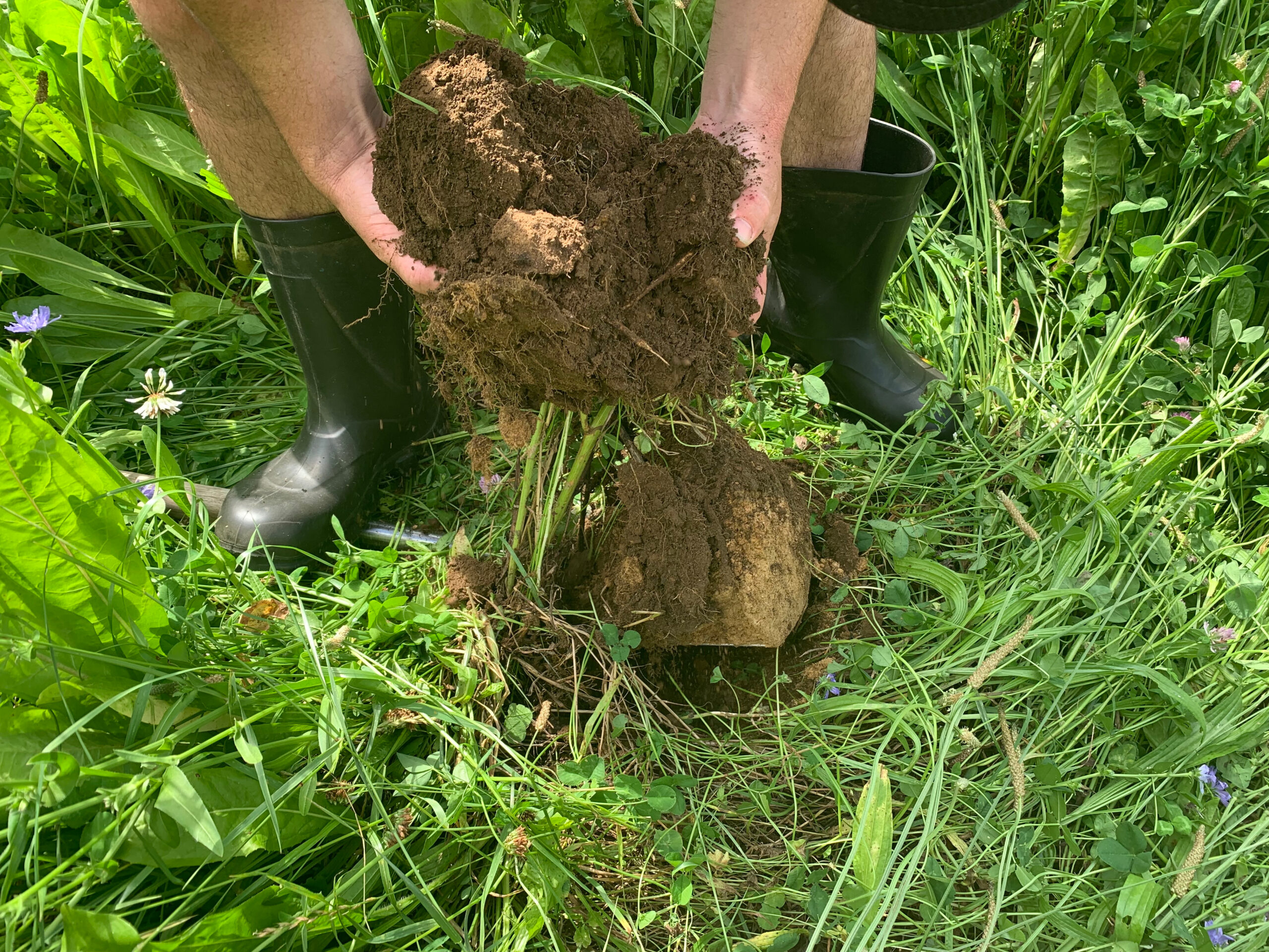 soil health