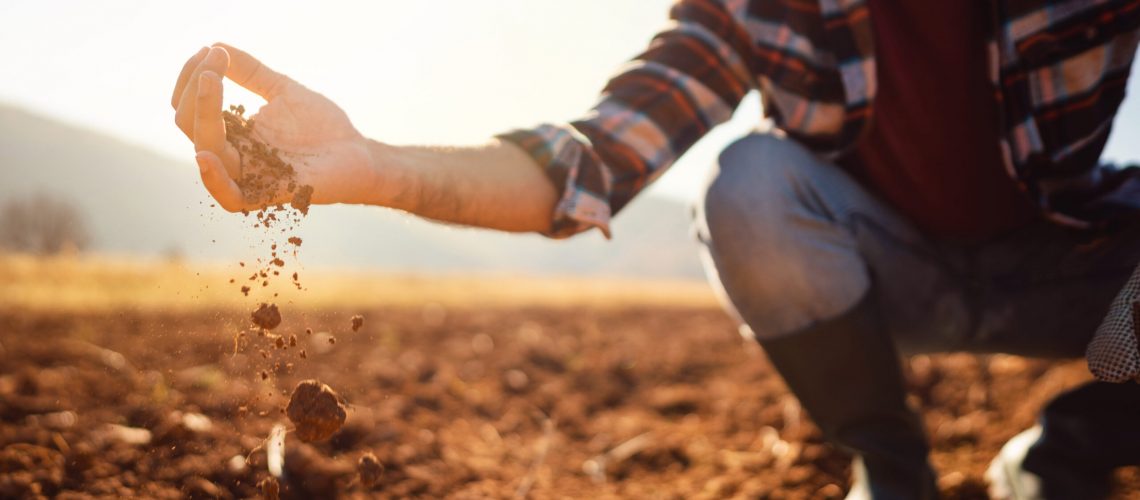 An unrecognizable farmer working in the field. He's analyzing his land.