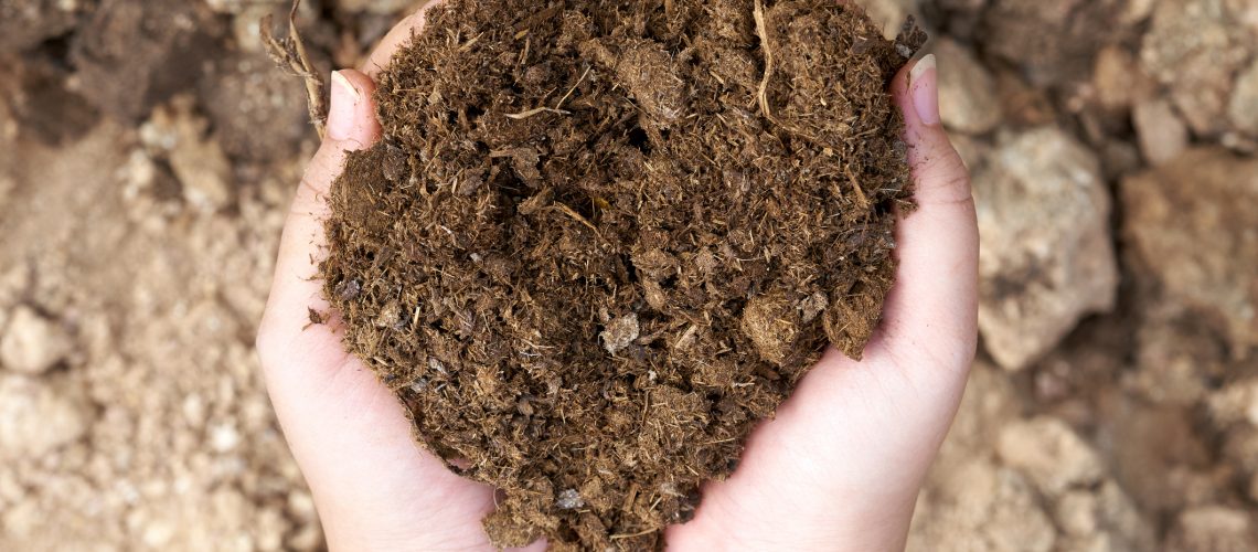 Asian girl holding hands before the ground breaking of the ground. Soil deterioration can not grow crops on land died by the hand of the master's in black and white. Conveys the arid and lifeless.